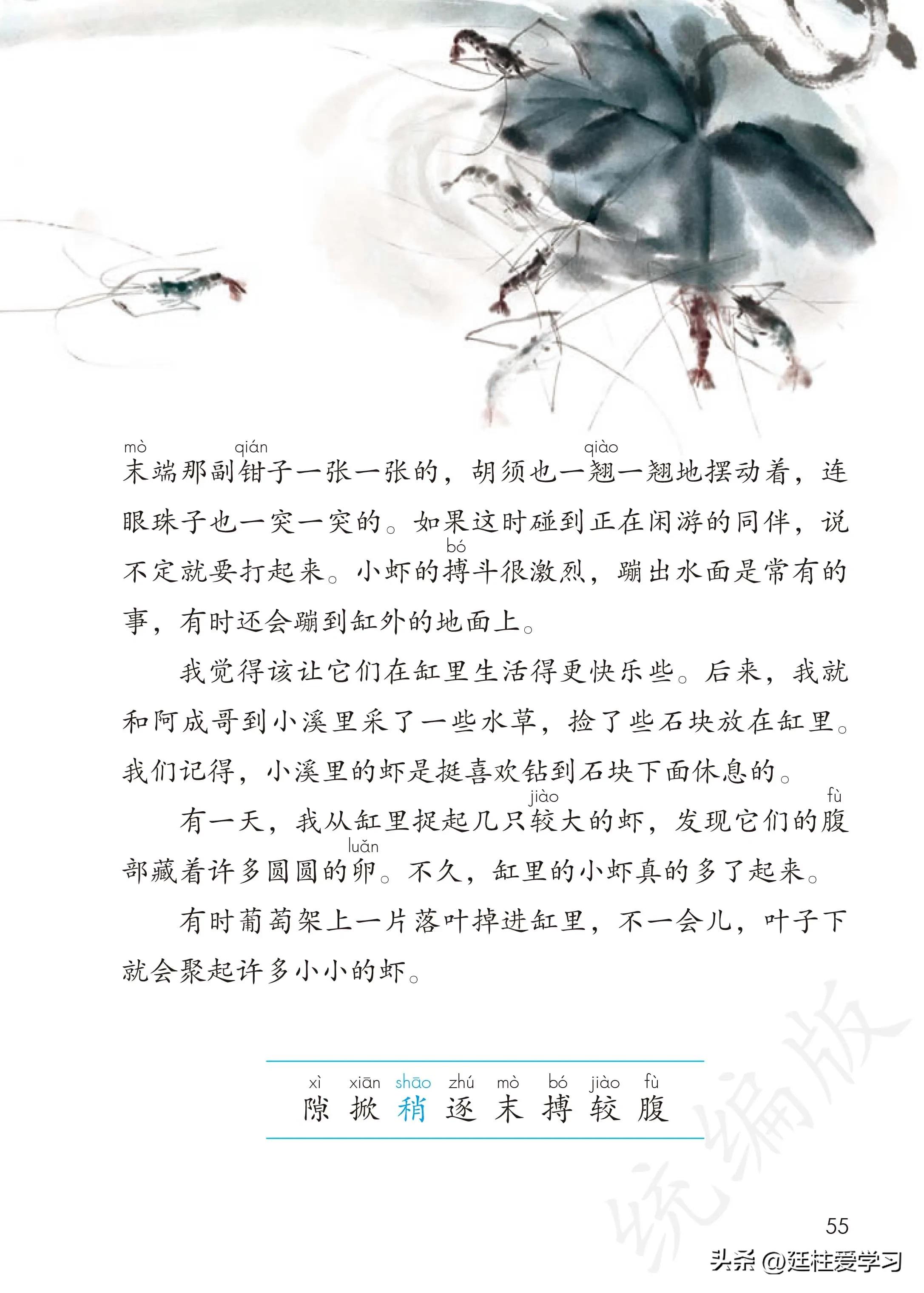 小学语文三年级下册电子版书,小学语文三年级下册知识点