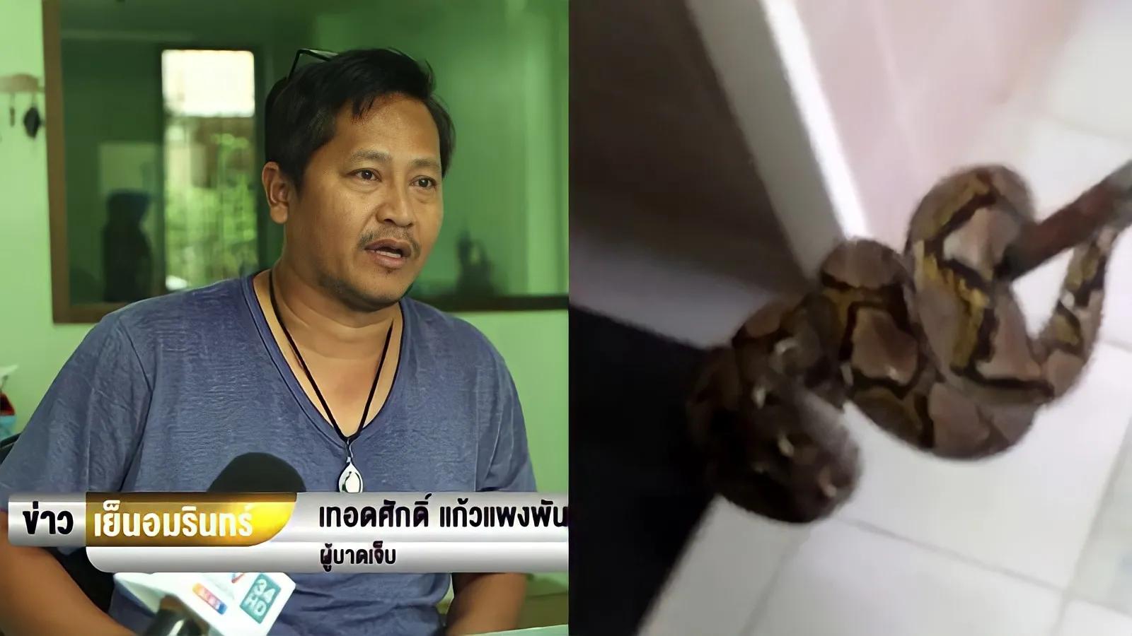 上厕所被蛇咬的人怎么样了,男上厕所被蛇咬了后续