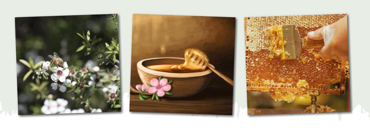 麦卢卡蜂蜜哪个国家最好,进口麦卢卡蜂蜜哪个牌子好