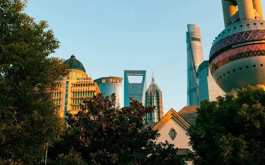 上海周末骑行好去处,上海周边适合春天骑行的地方排名