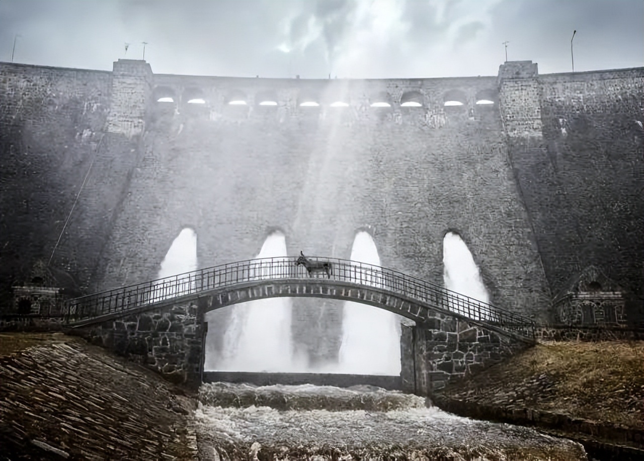 历届奥斯卡获奖影片及提名影片,第88届奥斯卡获奖电影名单