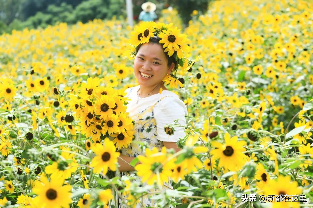 端午节来成都,成都端午节有什么讲究