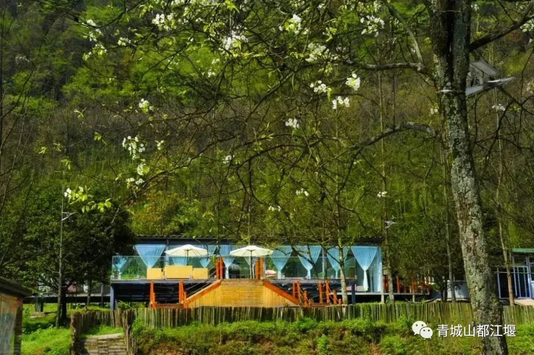 1h直达超好耍露营地！这五处秘密基地出片率100%，带你在星空下篝火旁，拥抱元气秋日大自然~