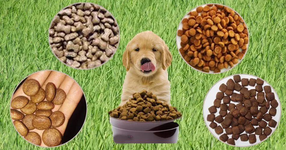 被忽视的小本生意,被人忽视的创业项目