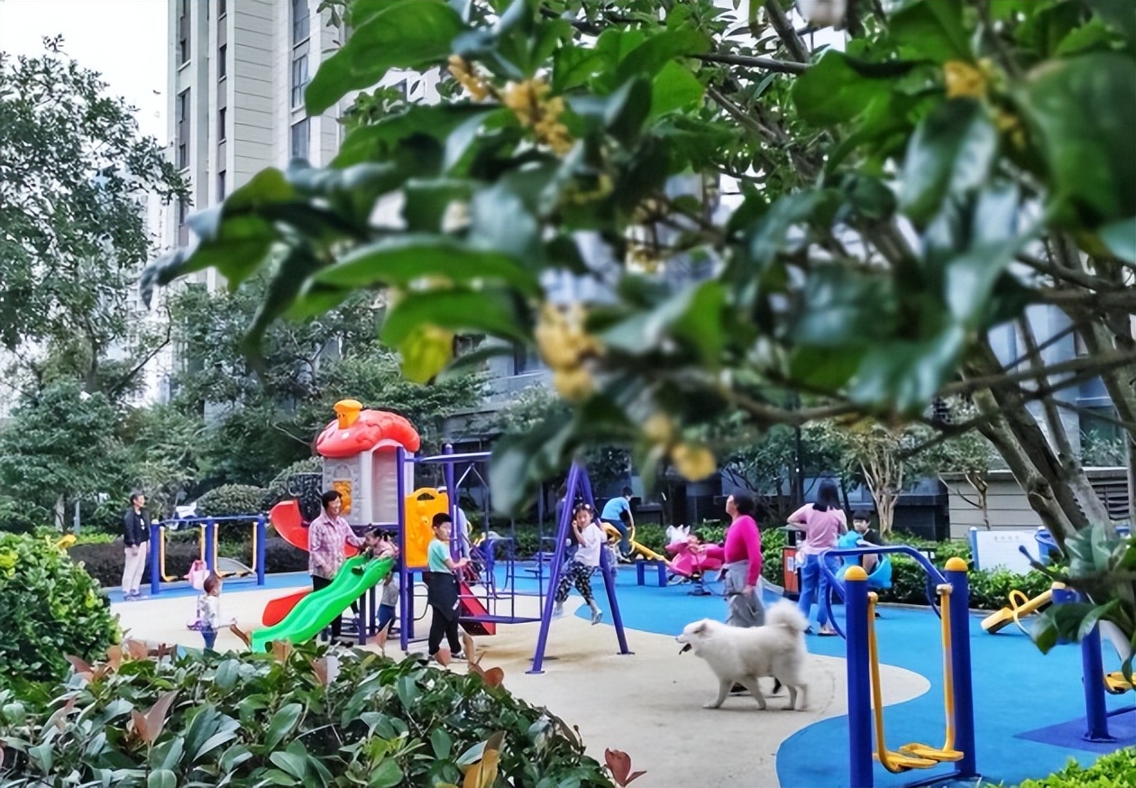 世茂服务苏州,世茂服务企业文化