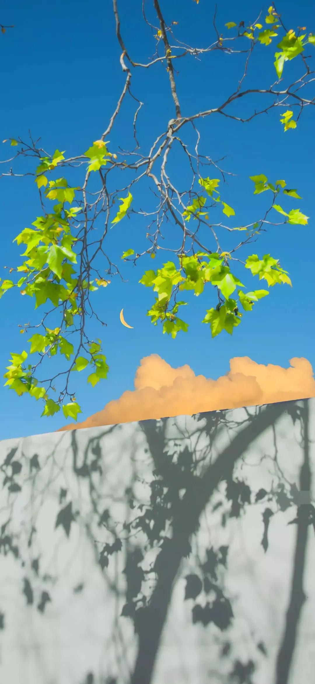 歼20高清壁纸4k全屏无水印,精选壁纸高清无水印高级感