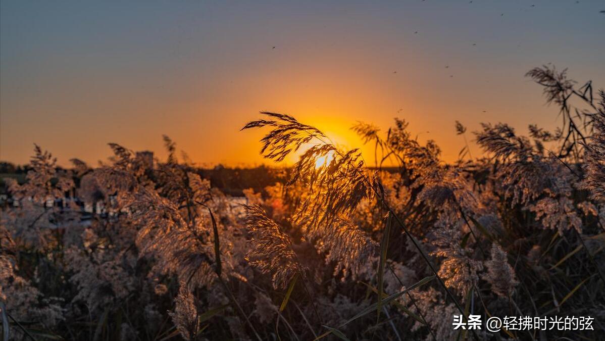初唐四杰诗十二首,初唐四杰的名篇名句