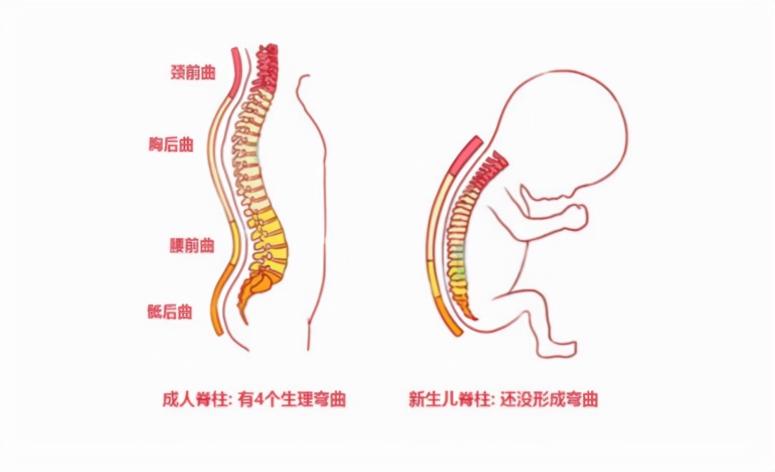 安全座椅行业参差不齐,安全座椅十大排名怎么选
