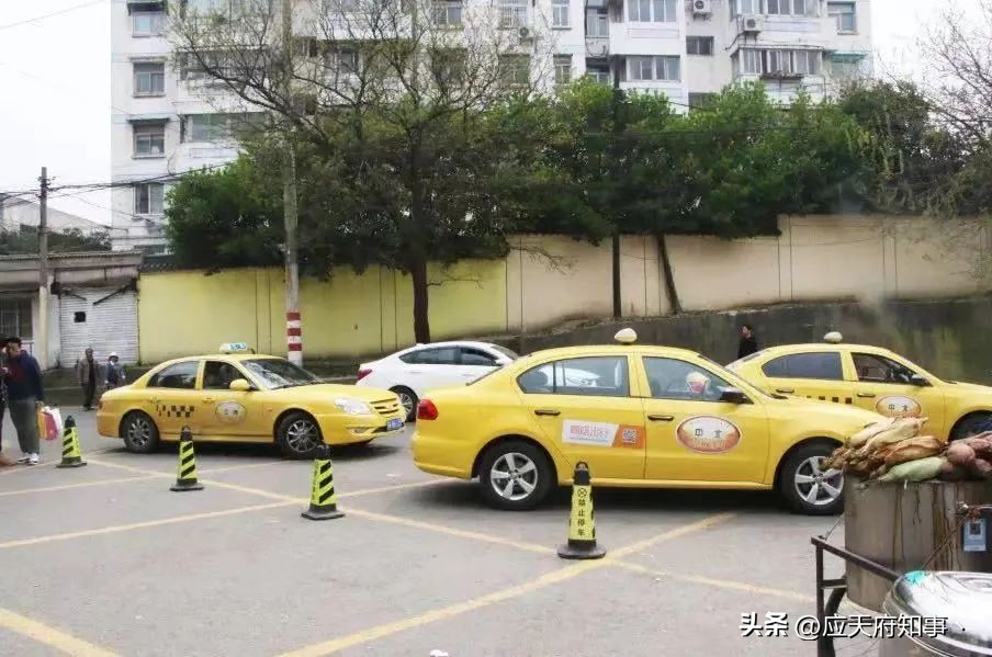 南京皮研所是干嘛的,南京皮研所为什么这么牛