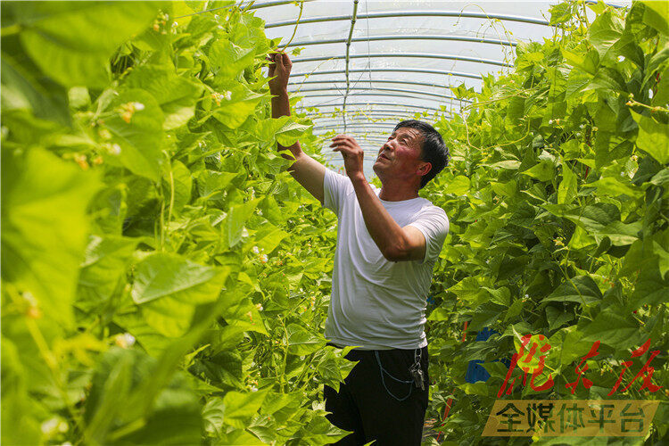 高质量党建引领新蓝图,党旗引领促发展争先创优提效能