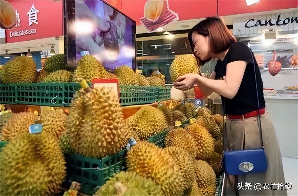 刚上市就暴跌,刚发售就崩盘