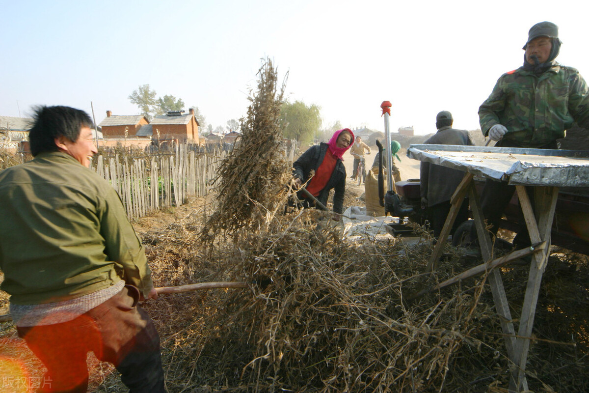 关于描述农村贫穷落后的纪录片,有关农村贫困现状
