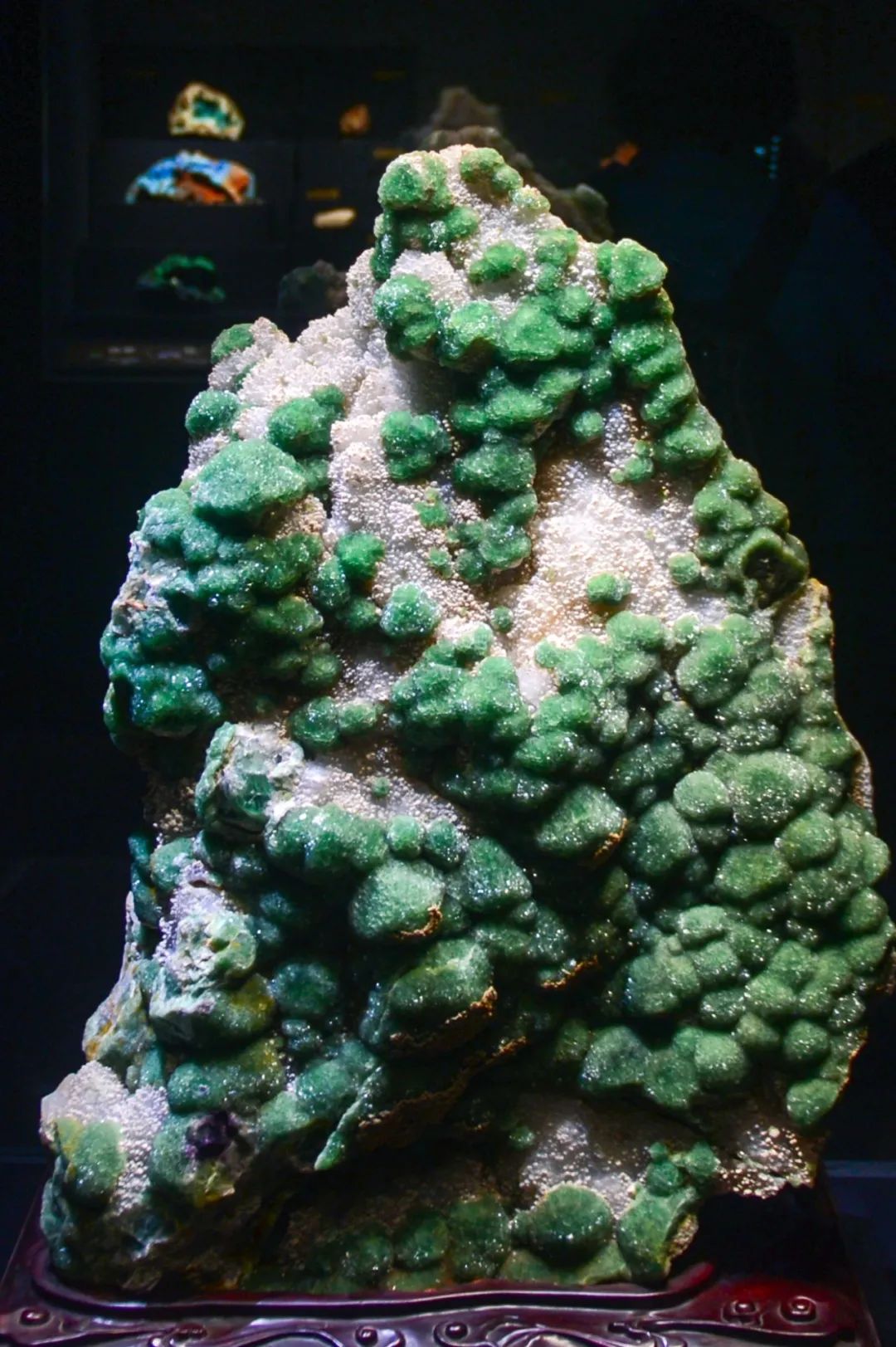 打卡山东博物馆和大明湖,山东博物馆打卡攻略