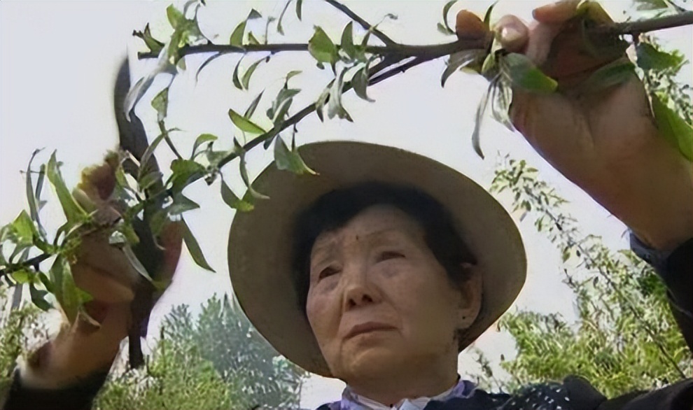 老公娶保姆，独女自杀，坐牢18年出狱后扫厕所，80岁赚千万翻身