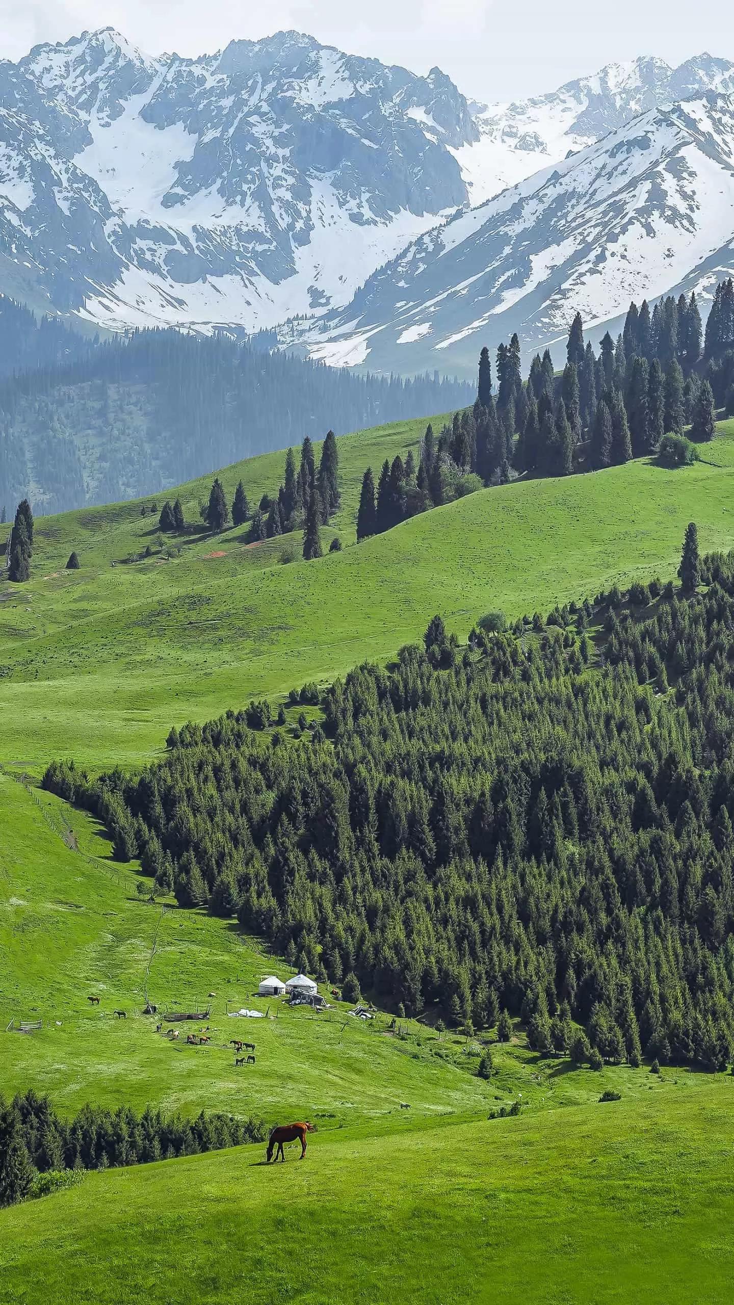 丈母娘要高价彩礼如何巧妙应对,丈母娘索要彩礼如何应对