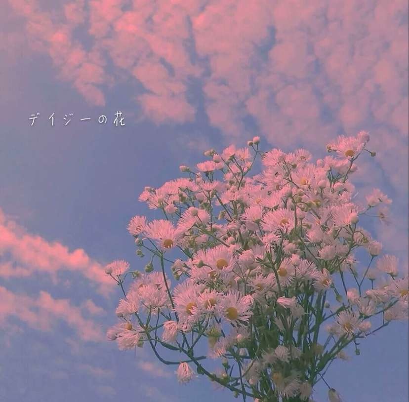 抖音文案短句男生专用高级文案,发抖音文案温暖吸引人的句子