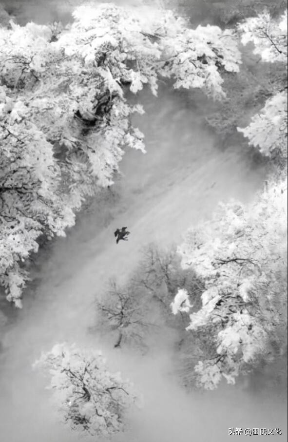 田氏文化,田氏宗亲文化传播