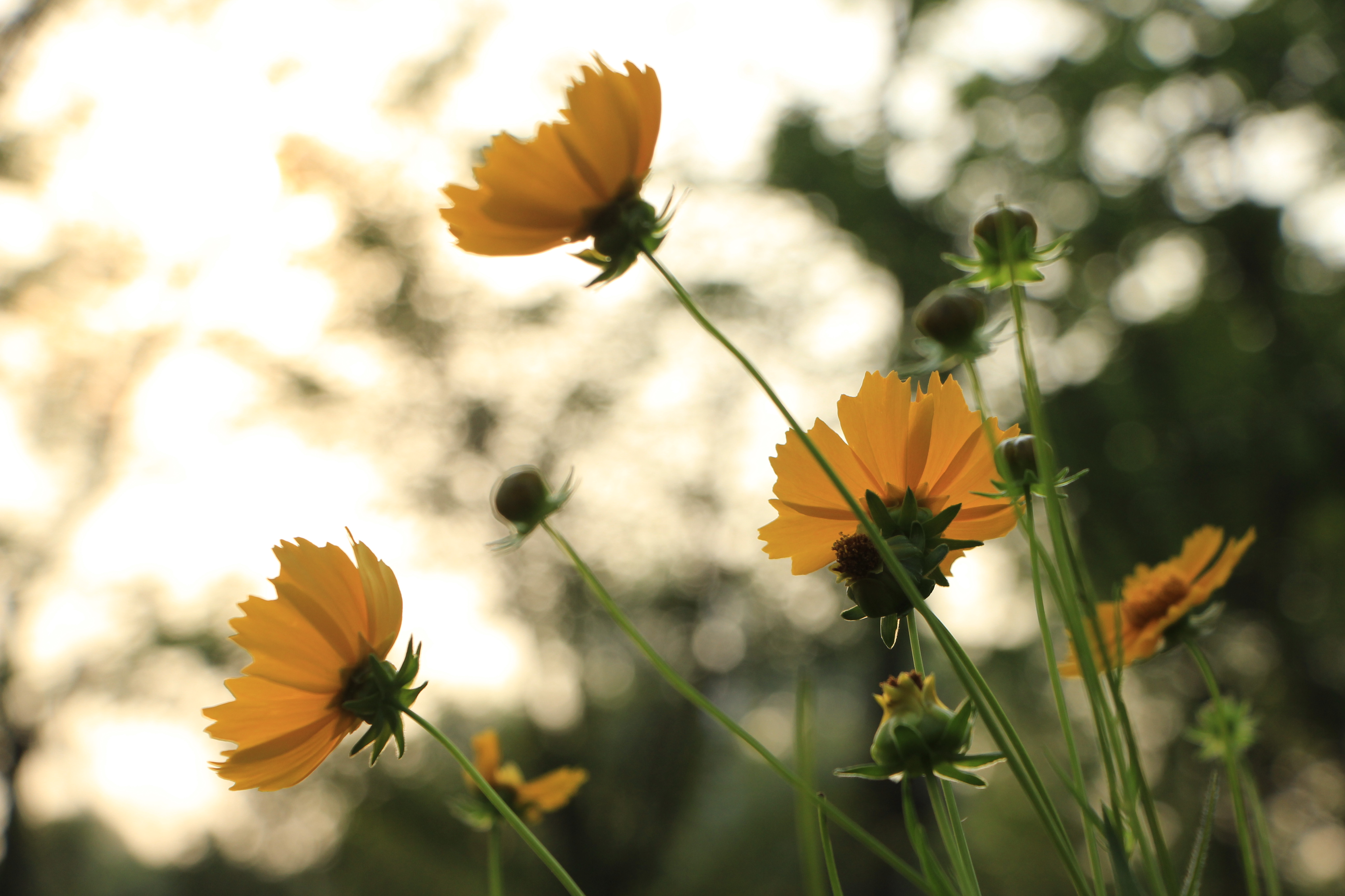 不管谁向你借钱这样回答你就赢了,有人向你借钱三句话高情商拒绝