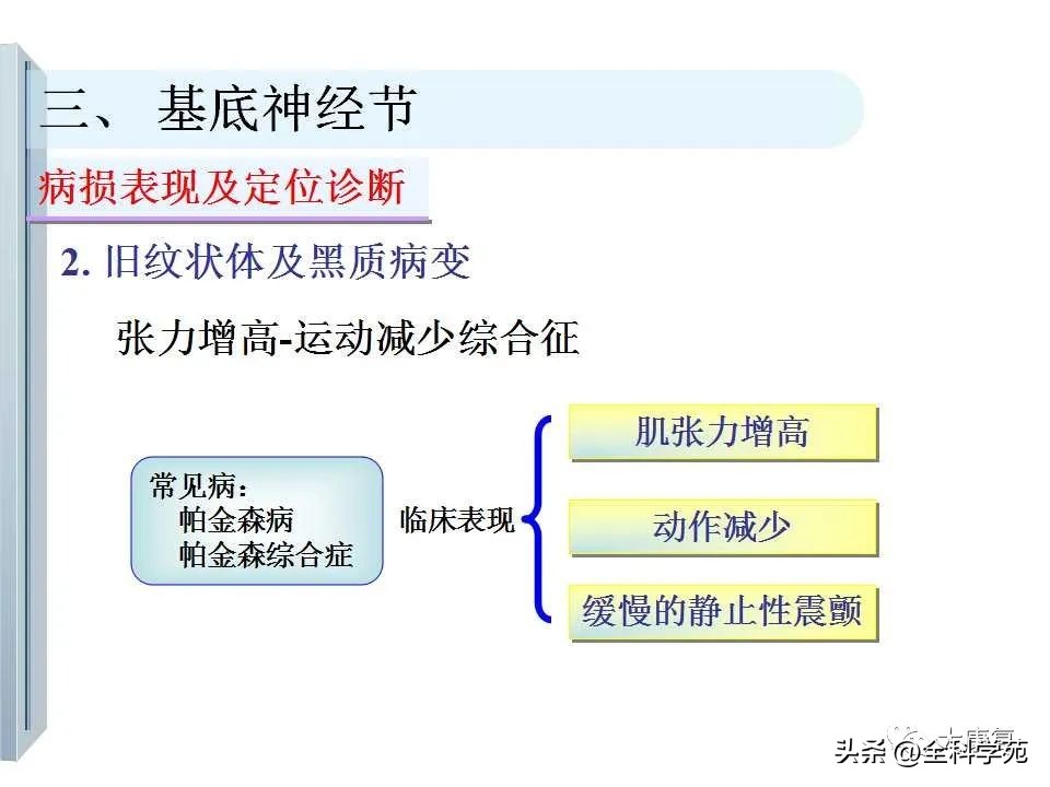 神经系统的影像与解剖定位,最全神经解剖图