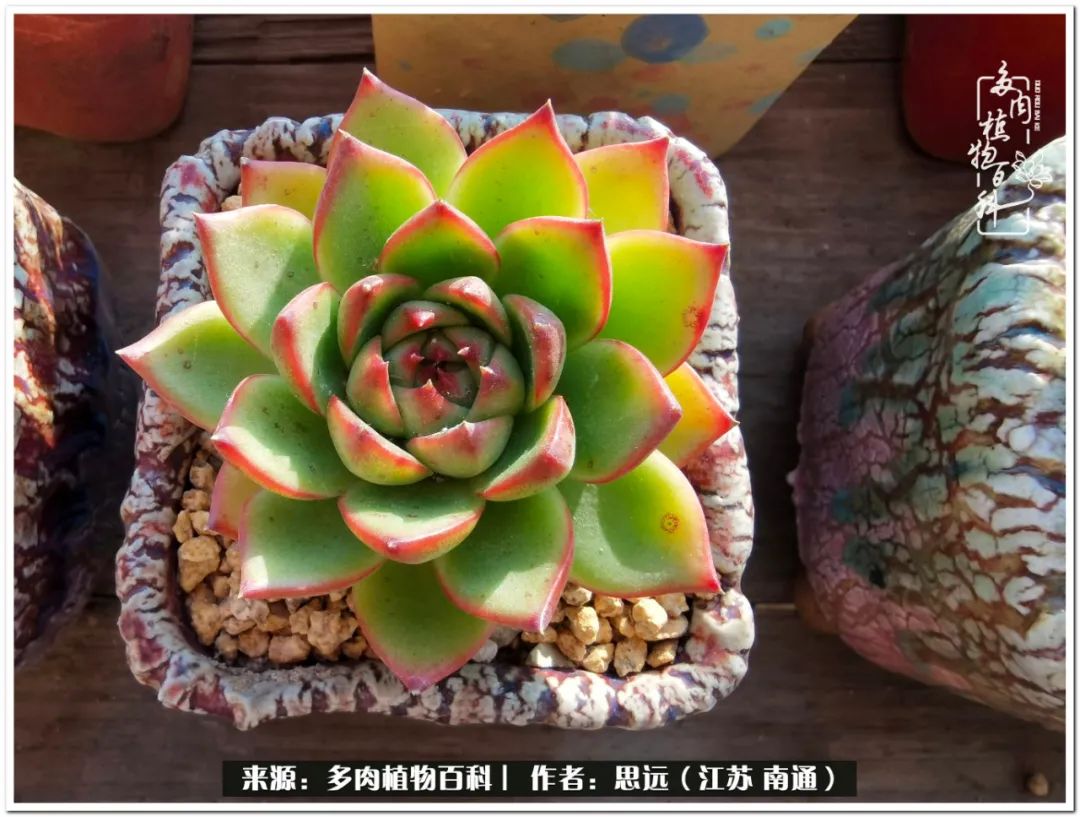 隔着时间的深爱，来自秋天的私语