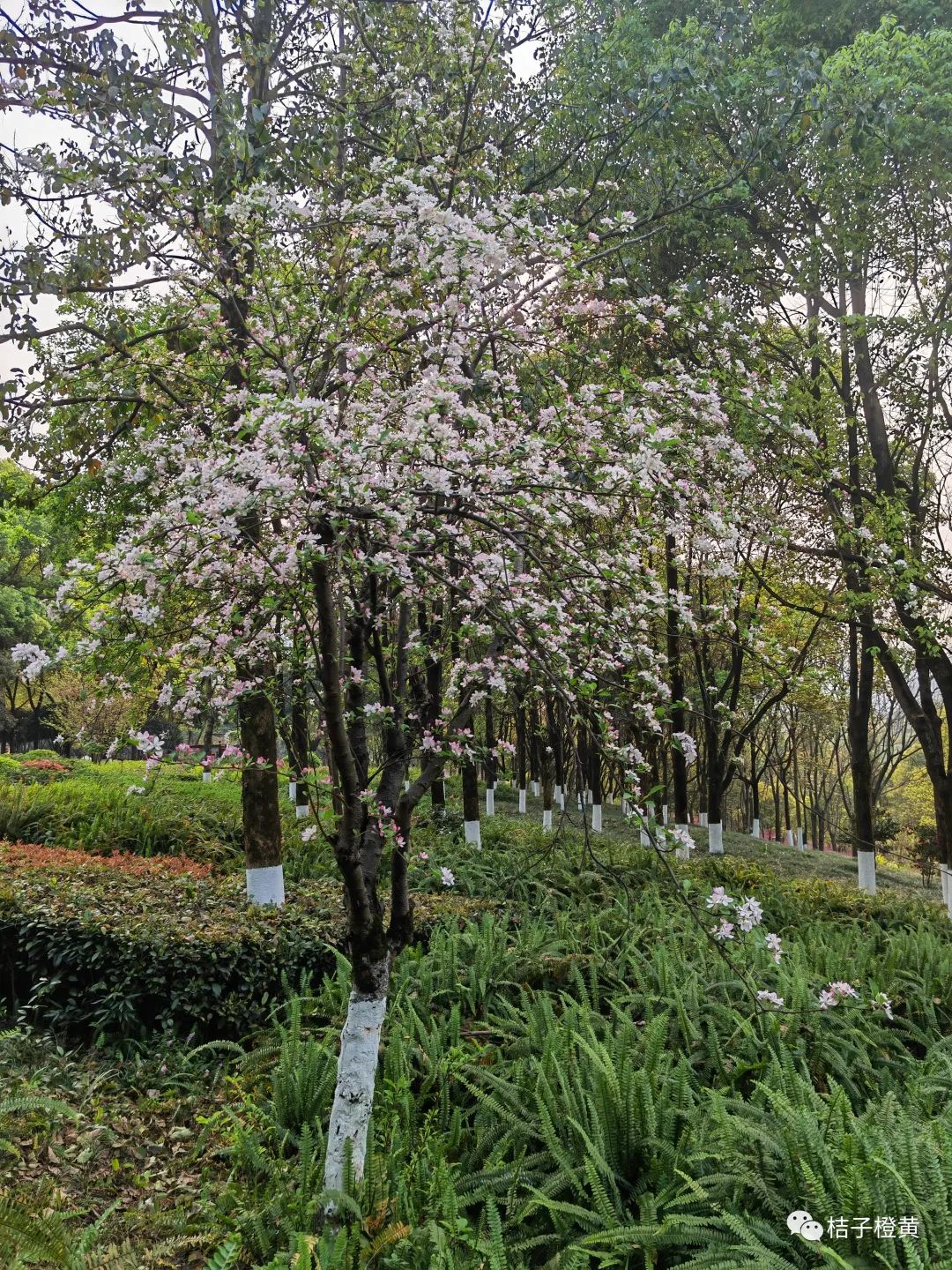 分享普通素人0成本创业,素人可做的副业