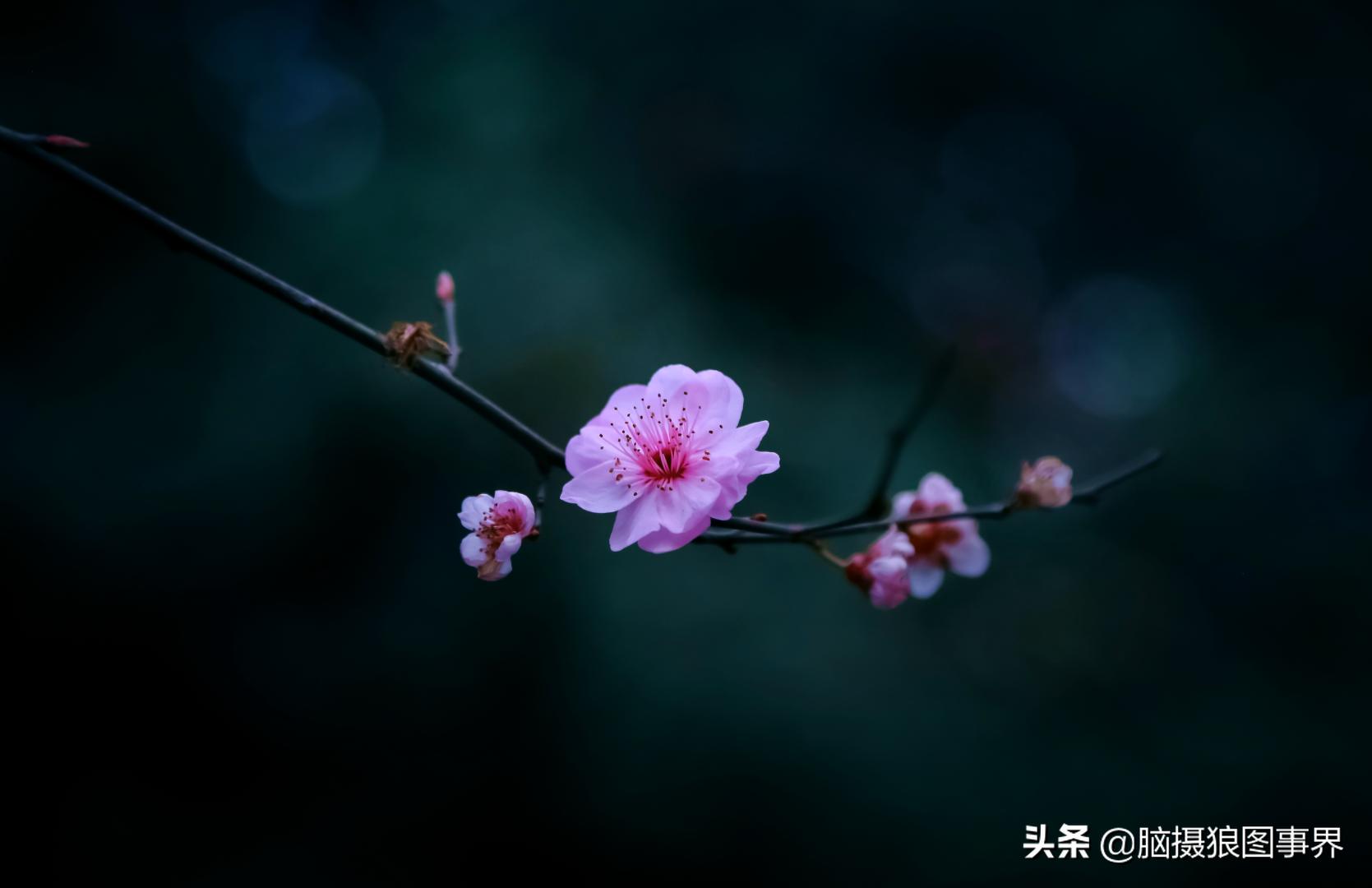 拍照如何确保对焦准确,拍照时对焦很难对上