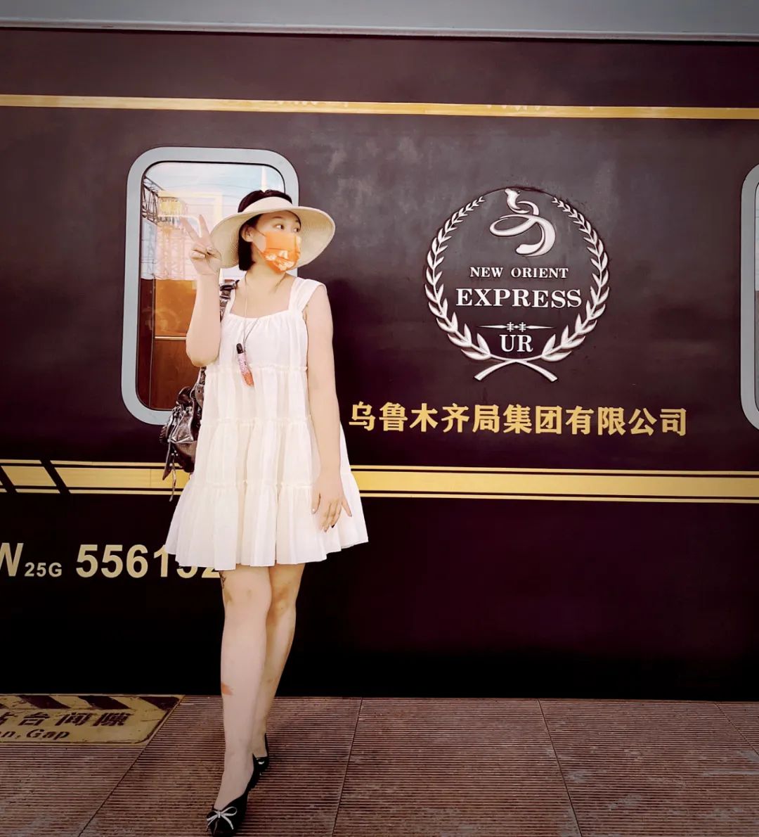 豪华版列车,豪华列车票价是多少