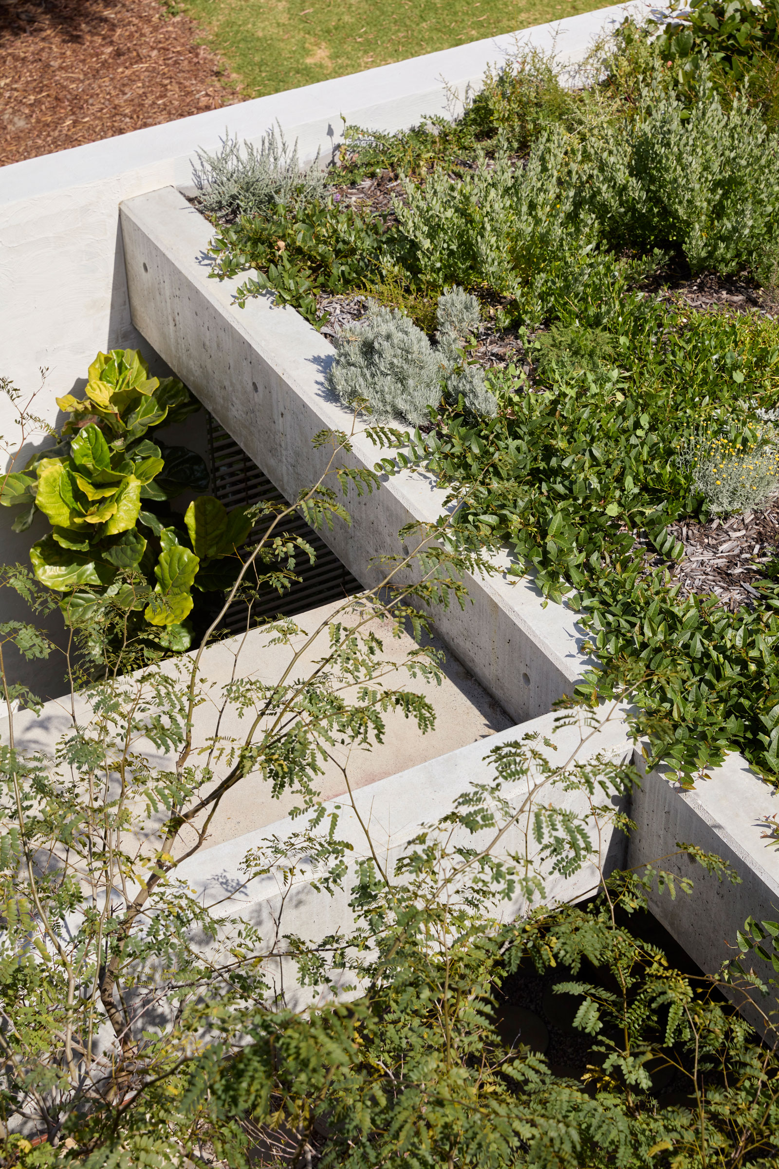 工作室漫游和IOTA：吉米的家