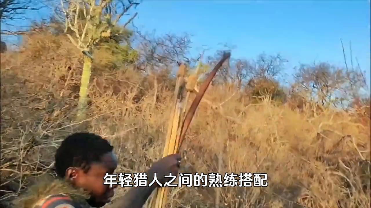 哈扎猎人做什么工作的,哈扎猎人是做什么工作的