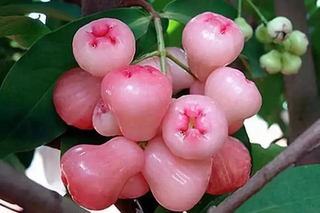 解决便秘即时有效的方法,解决便秘的难言之隐这样做就够了