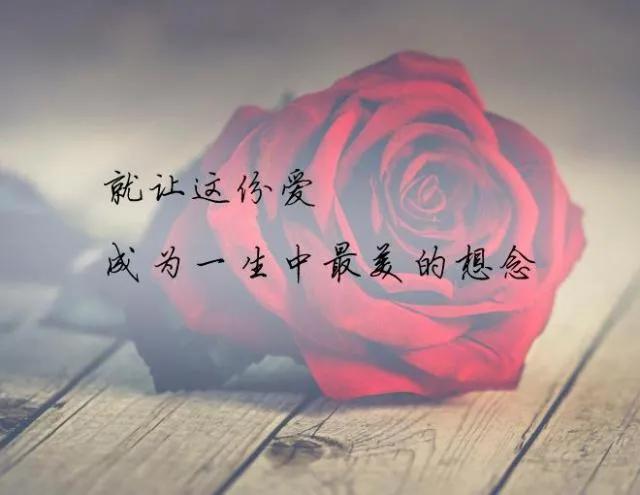 亲爱的，你从我的全世界路过，纵使悲凉也是情