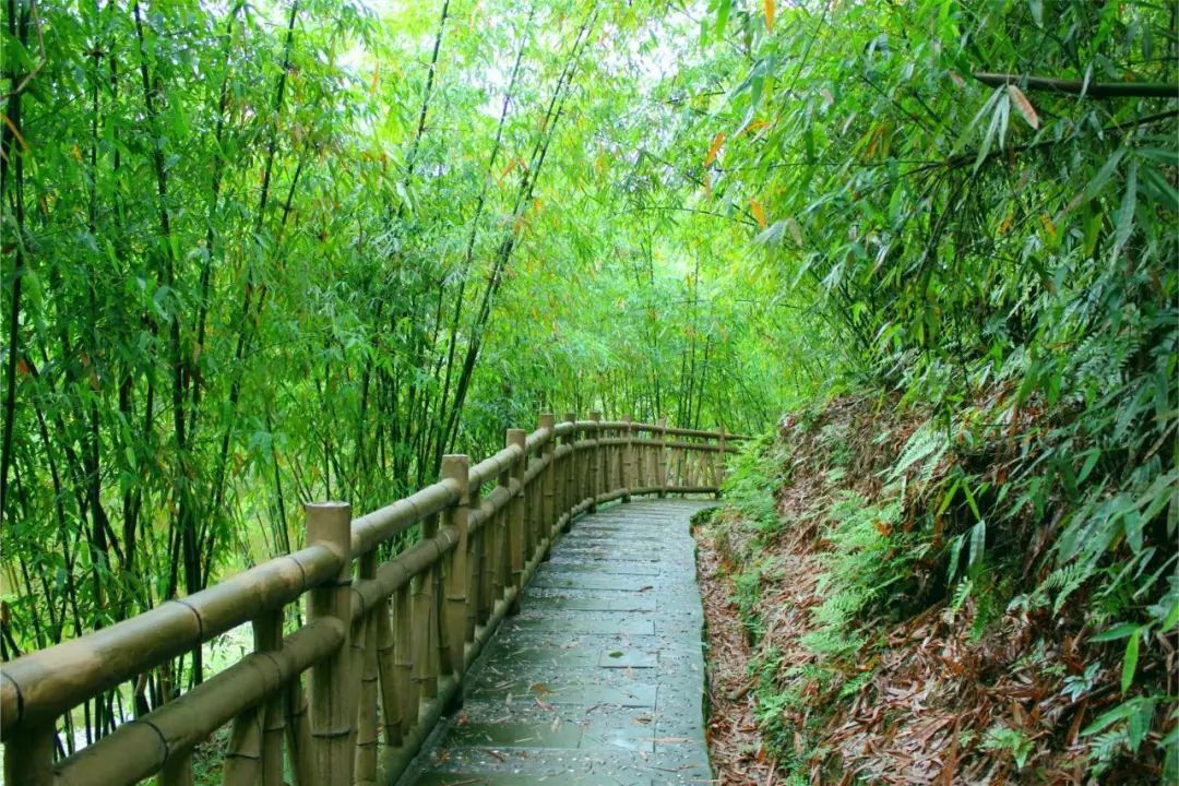 超燃多巴胺彩虹跑,多巴胺超燃视频