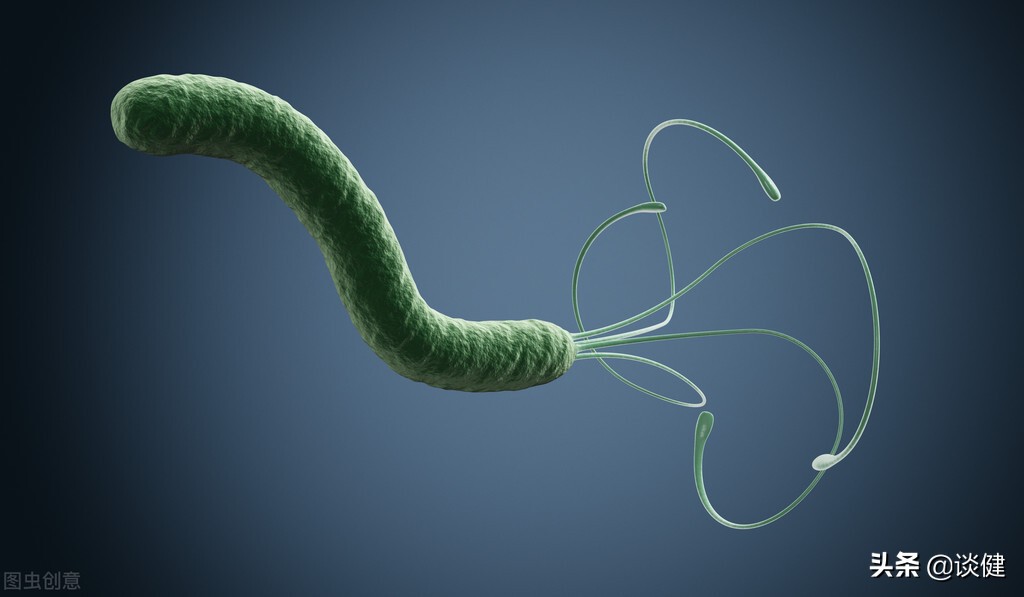 卫之幽益生菌能杀幽门螺旋杆菌吗,德国ouu幽门螺旋杆菌益生菌靠谱吗