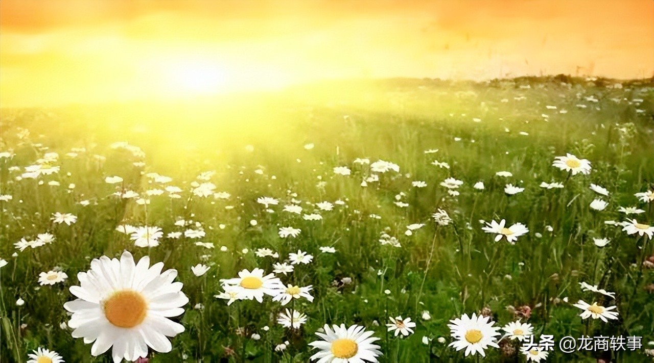 专业致力于青饲料植物工厂的科技创新，解决了养殖户大问题