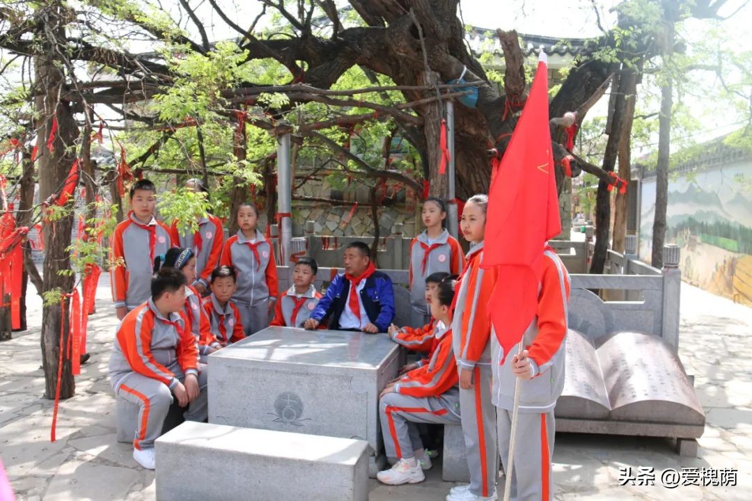 济南市槐荫区大金小学,济南大金小学