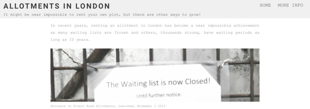 在英国自己种菜什么体验,在英国种菜小技巧有哪些