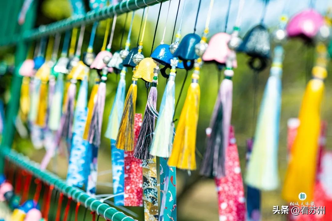 苏州赏花的地方,苏州三月中旬赏花去处