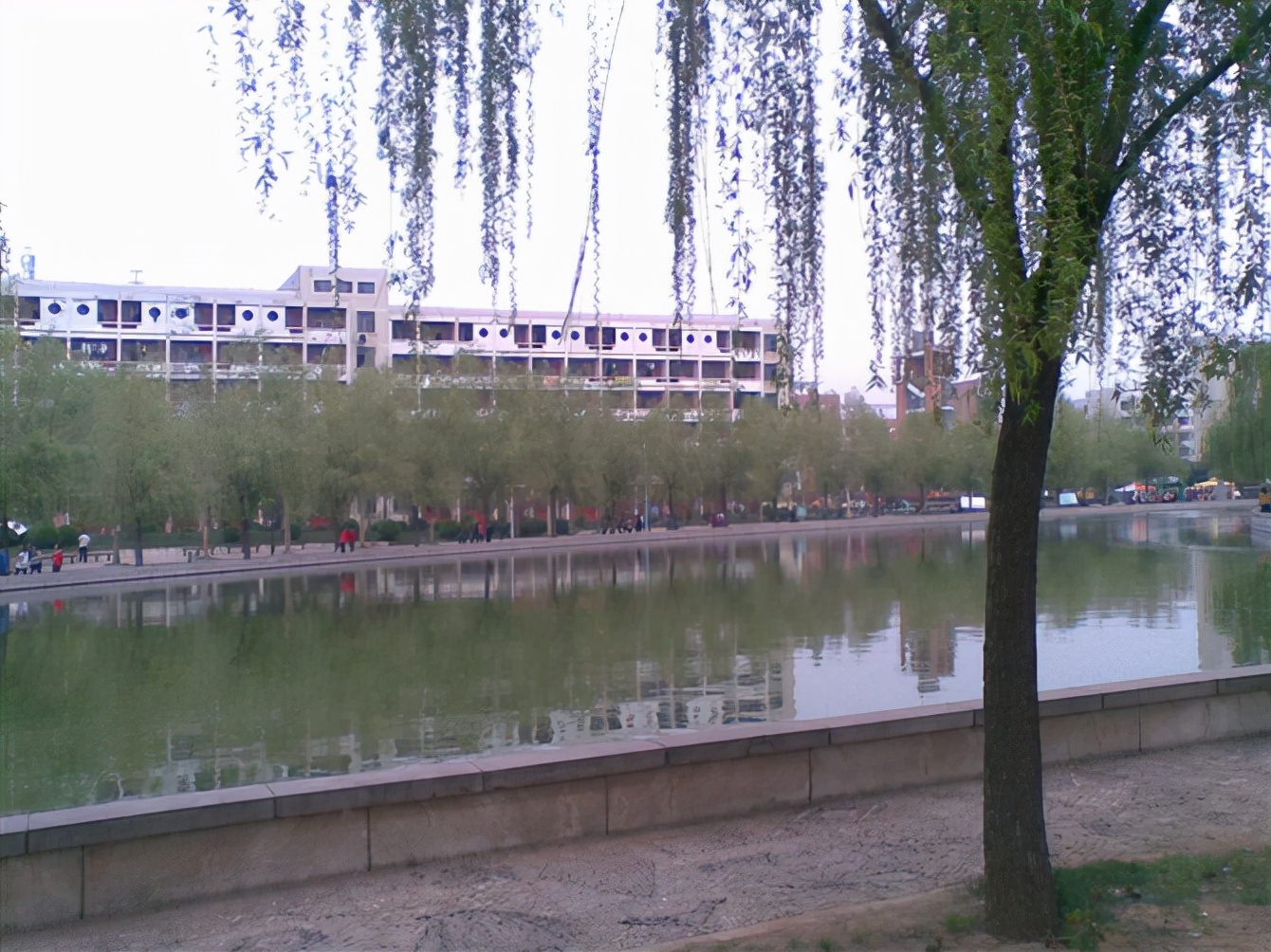 十年前单车小白入坑,骑行入坑从小白到十年的全过程