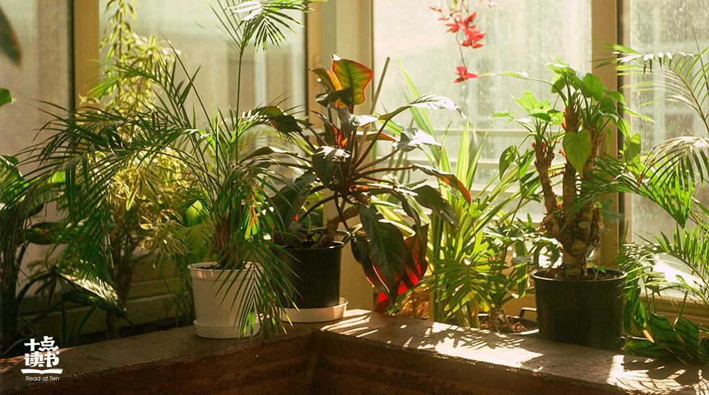 最美的七夕诗词10首,七夕十首经典诗词