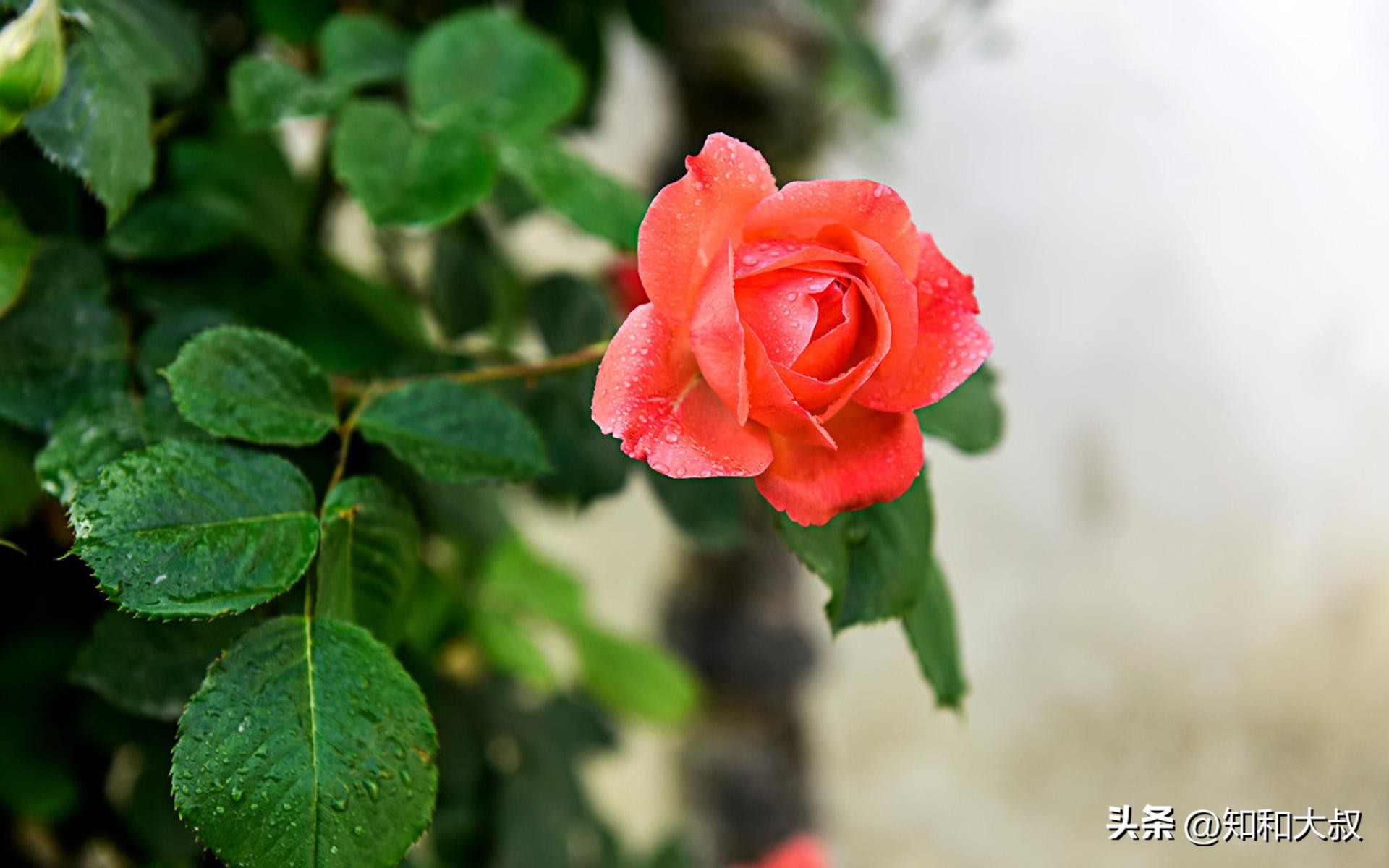 一个女人活得最好的三种状态,一个优秀女人越活越好的7个表现