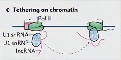 nature最新论文,nature论文最新发现