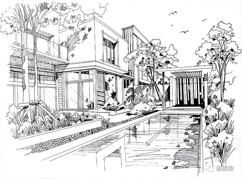 2022猫虎绘暑假手绘班招生简章「线上+线下」