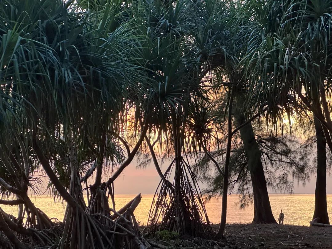 泰国五天自由行攻略,泰国旅游六天自由行攻略