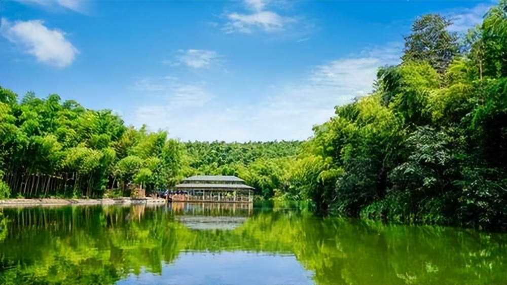 卧虎藏龙竹林拍摄地在蜀南竹海吗,卧虎藏龙取景地蜀南竹海吊威亚