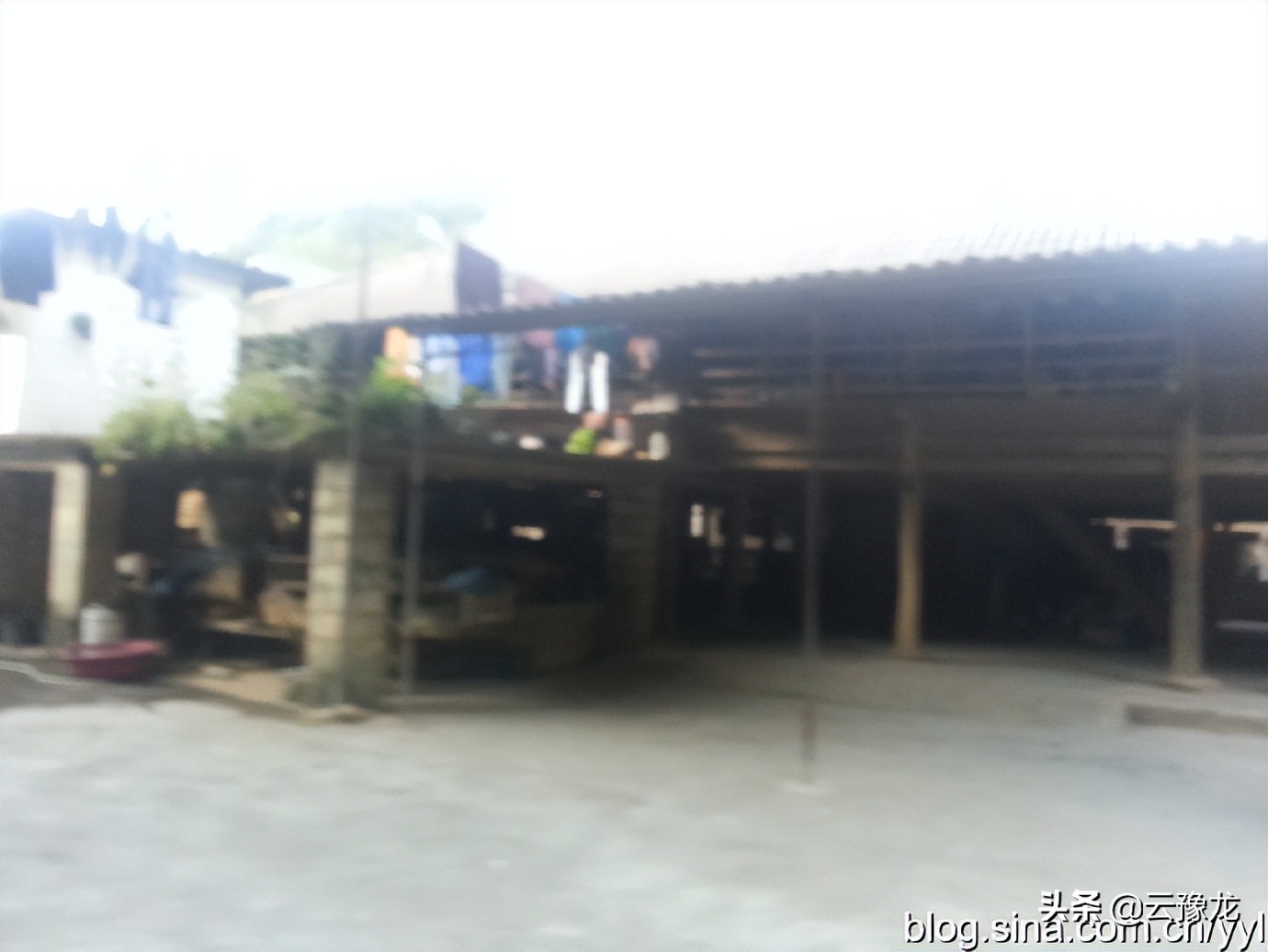 西双版纳磨憨自驾游攻略,自驾游云南版纳旅游攻略