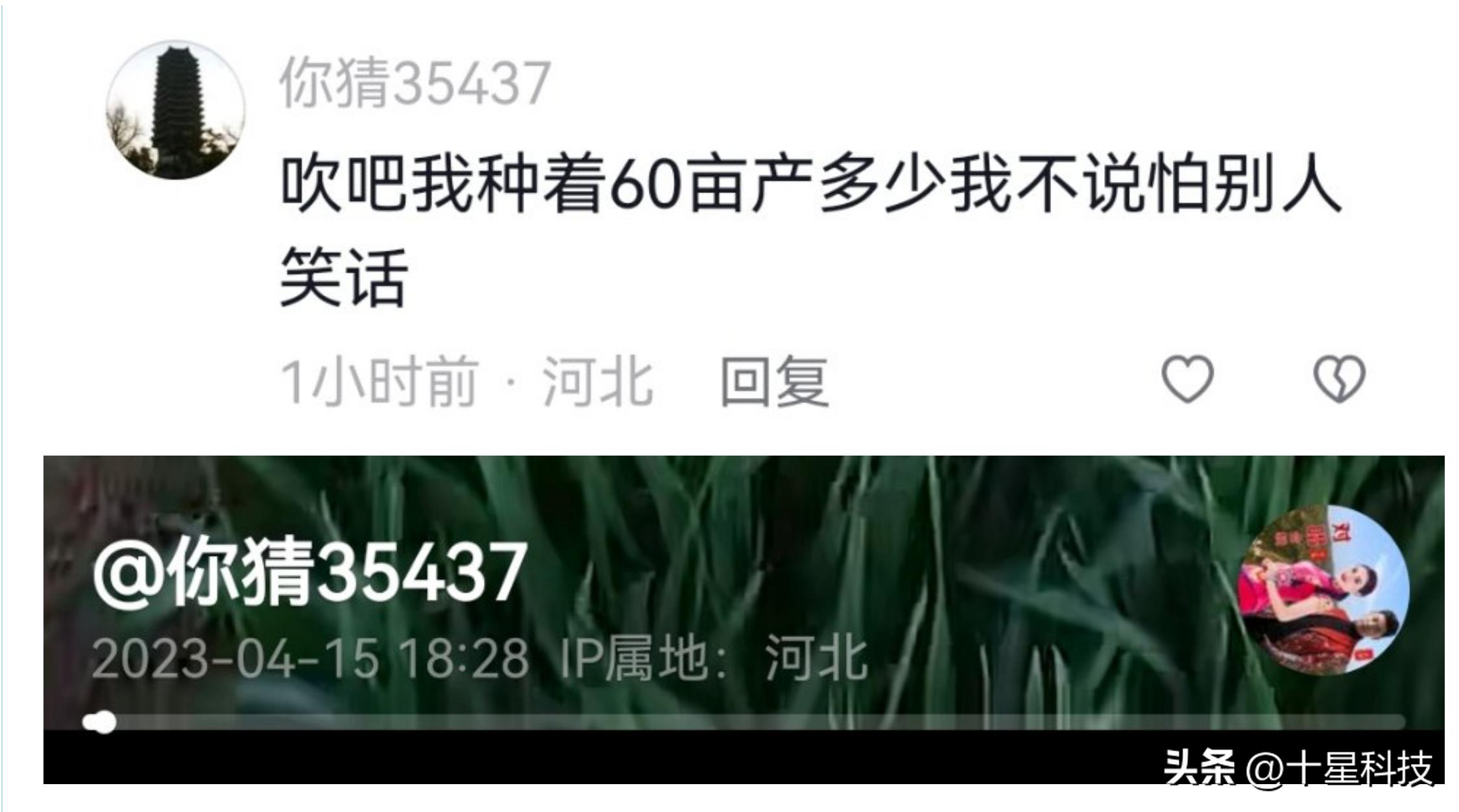 让农民的粮食能卖上好价钱,让农民的农产品卖出去