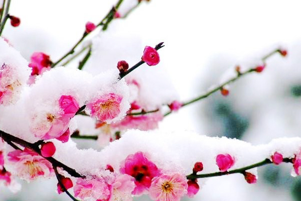 唐代高僧写千古绝唱,唐代七绝经典之作