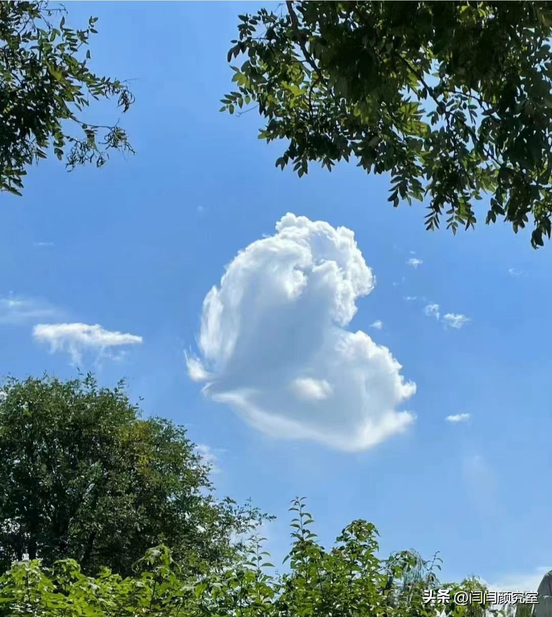 微信置顶文案朋友圈,微信置顶文案如何设置