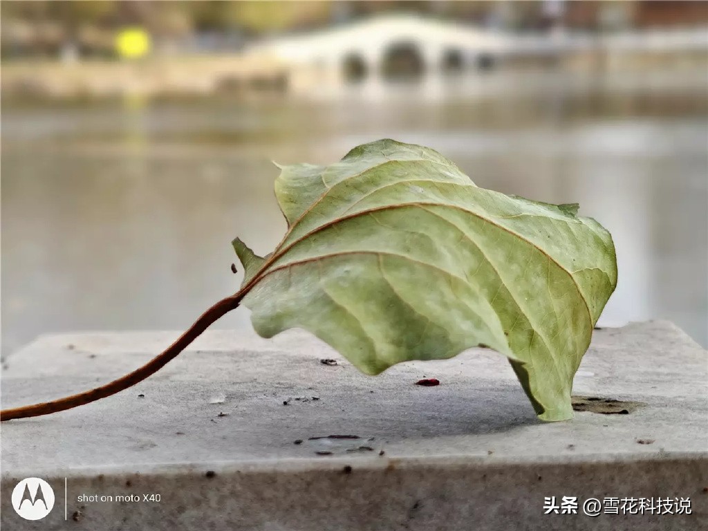 motox40实际上手体验,motox40真实缺点