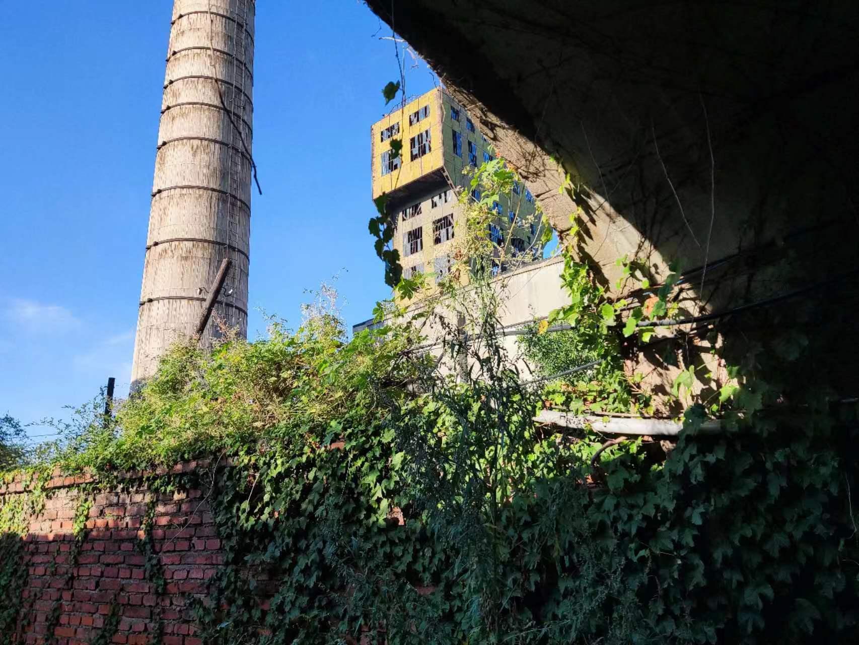 日本侵略抚顺战役,日本侵略海南九二三惨案